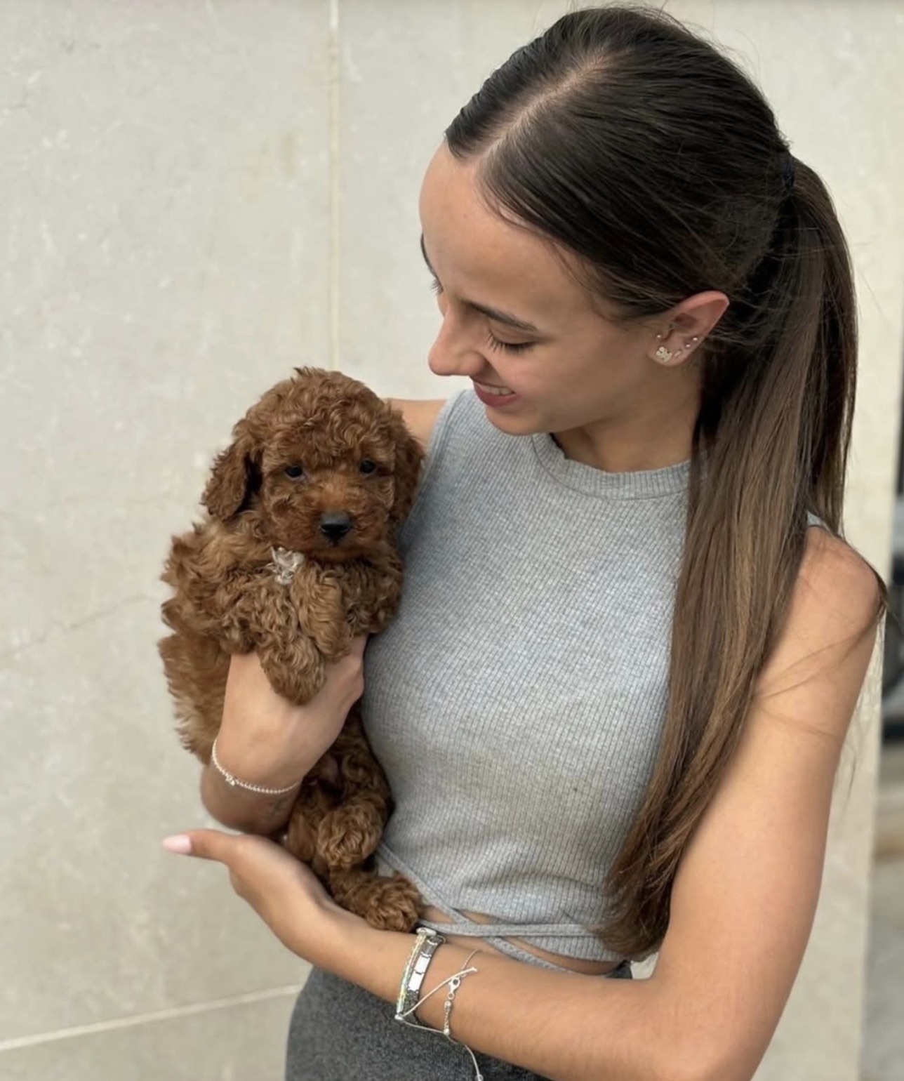 Cachorro caniche de Can Puppy Dog en brazos