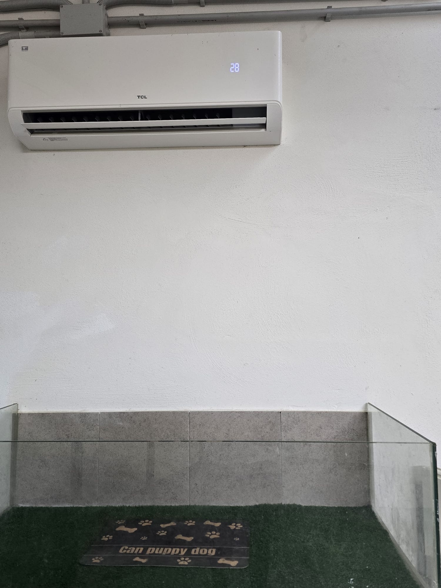 Zona climatizada de las instalaciones de Can Puppy Dog