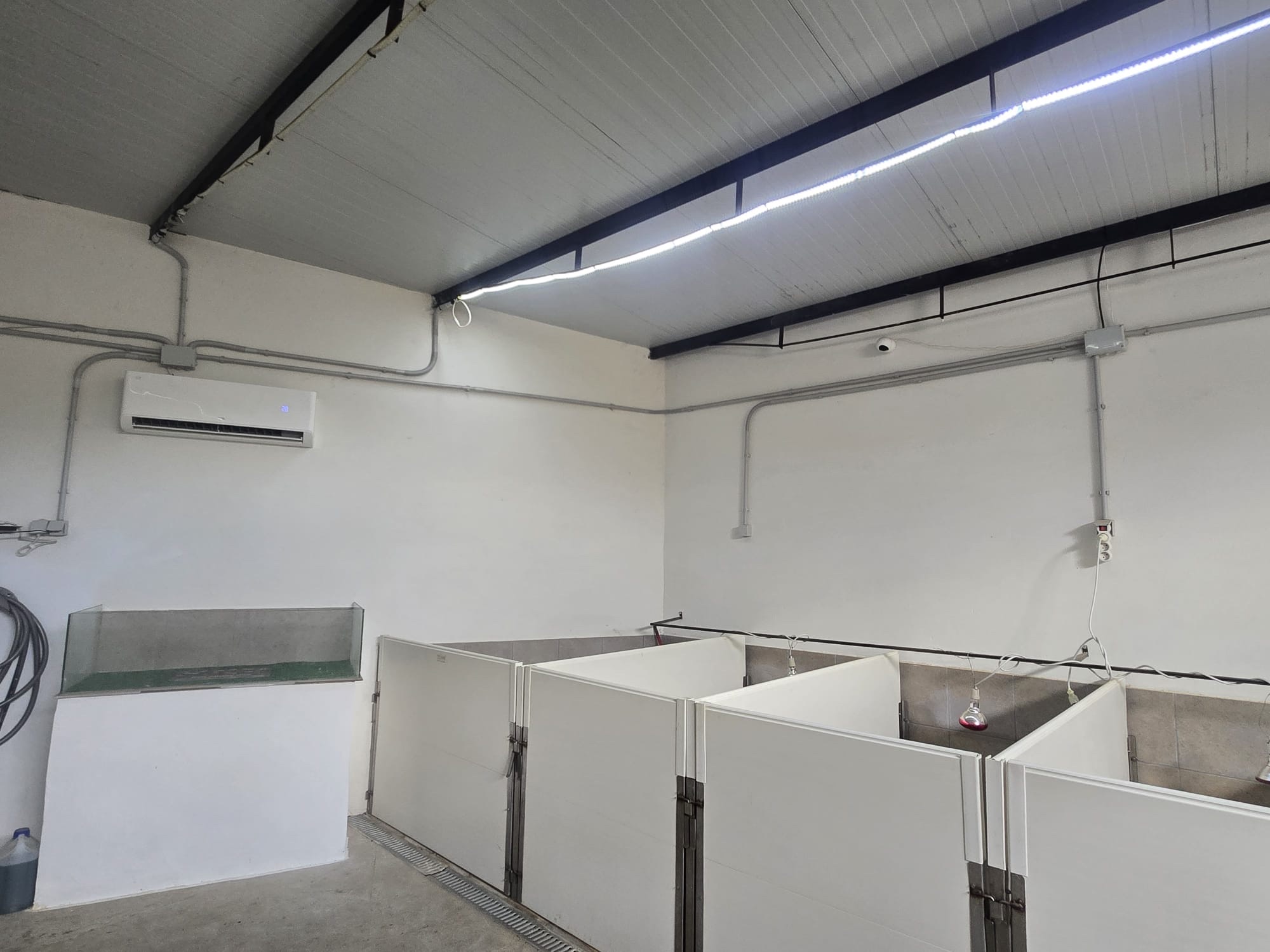 Vista general de las instalaciones de Can Puppy Dog